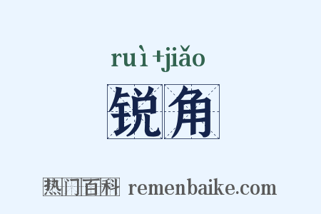 锐角是什么意思的图片